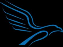 ALIVE CAPITAL SA logo