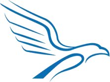 ALIVE CAPITAL SA logo